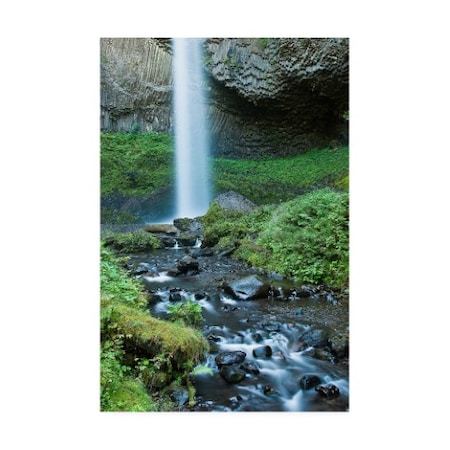 Tim Oldford 'Oregon Waterfall' Canvas Art,16x24